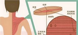 -归位瑜伽&归位普拉提