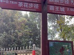 -东莞市大岭山森林公园
