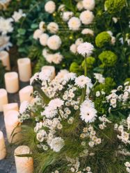 -美薇亭婚礼顾问