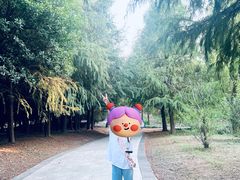 -同里国家湿地公园