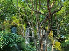 -Chom Cafe and Restaurant