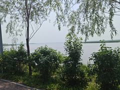 -呼兰河口湿地公园