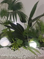 -HEYAN荷妍专业脱毛连锁机构