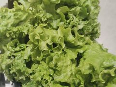 -啊美丽炭火烤肉(滑翔一店)