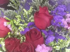 -包装马车·韩国料理·포장마차