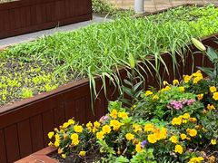 -梧桐人家中国太平国际健康颐养社区