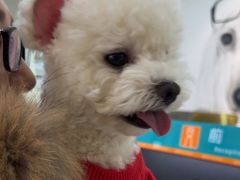 -美联众合动物医院·24h转诊中心