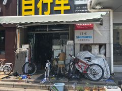 -道路口单车爱瓦士dahon大行