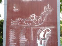 -瑶湖郊野森林公园