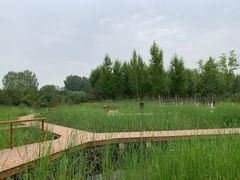 -东郊湿地公园