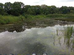 -西湖风景区-江洋畈生态公园