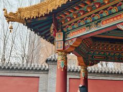 -护国法轮寺