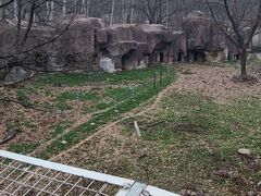 -合肥野生动物园