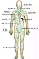 -慕拉美甲美睫皮肤管理