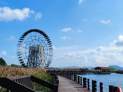 -苏州太湖湖滨国家湿地公园