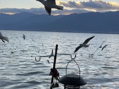 -六阅·福十 FORTEN 海景咖啡西餐厅(双廊古镇店)