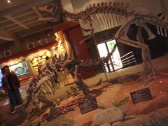 -自贡恐龙博物馆