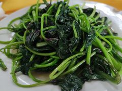 炒野菜-荣生萝卜汤饭店