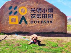 -光明小镇欢乐田园