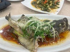 -湛江渔港·大排档(乐园路总店)