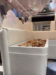 点击看大图 -奈尔宝·儿童乐园·亲子餐厅(前滩店)