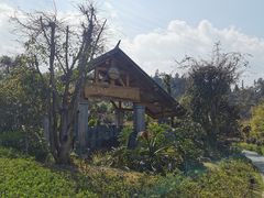 -腾冲洞山温泉村