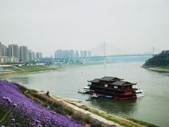 -石井坡(地铁站)