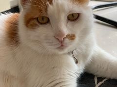 -平行世界·猫咖(首经贸店)