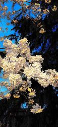 -闺蜜美甲