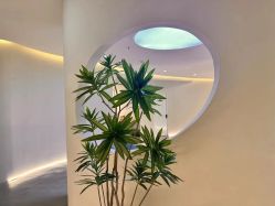 点击看大图 -VE小颜皮肤管理&科学美肤中心