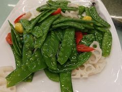 -金丰鱼庄(四团店)