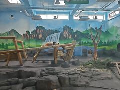 -秦皇岛野生动物园
