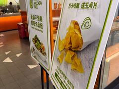 -油梨树 AVOCADO TREE(亮马桥店)