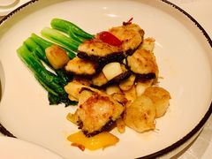 -万豪中餐厅·粤菜·北京粤财JW万豪酒店