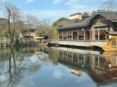 -绿茶餐厅(龙井船宴· 品牌总店)