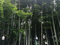 -杭州黄龙洞
