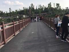 -枫香湖儿童公园