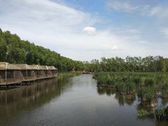 -白渔泡湿地公园