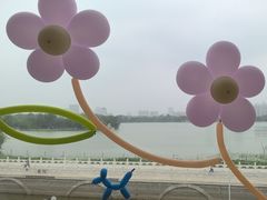 -鱼翅楼·津派砂锅鱼翅(水上公园店)