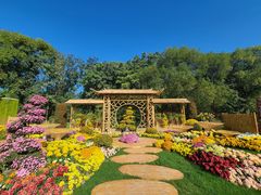 -上海共青森林公园