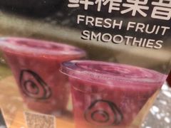 -油梨树AVOCADO TREE(嘉里中心店)