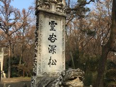 -灵谷景区