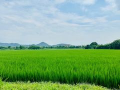 -良渚古城遗址公园