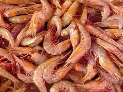 -芦潮港集贸市场