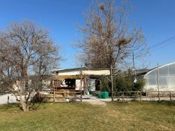 -DORA kids 朵拉儿童摄影花园店