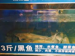 -爱妻鱼•老体北重庆水煮鱼•川菜(白云路店)