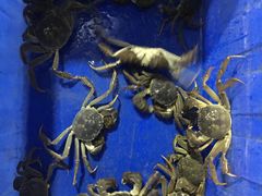 -喜洋洋蟹庄(阳澄湖店)