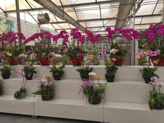 -兰陵国家农业公园