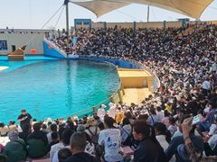 -秦皇岛乐岛海洋王国