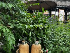 -听香·678茶铺(猛追湾店)
